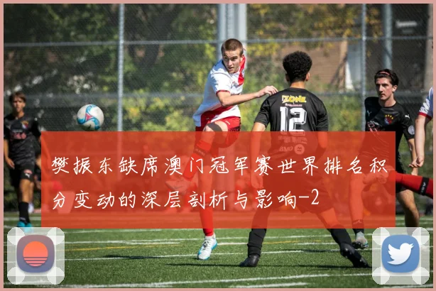 樊振东缺席澳门冠军赛世界排名积分变动的深层剖析与影响