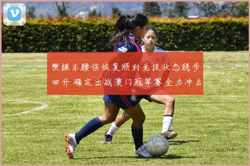 樊振东腰伤恢复顺利竞技状态稳步回升 确定出战澳门冠军赛全力冲击佳绩